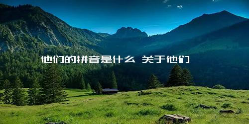 他们的拼音是什么 关于他们